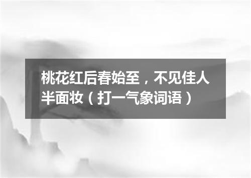 桃花红后春始至，不见佳人半面妆（打一气象词语）