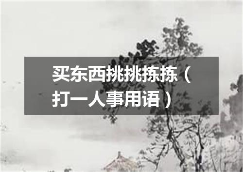 买东西挑挑拣拣（打一人事用语）