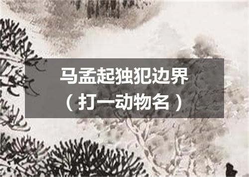 马孟起独犯边界（打一动物名）