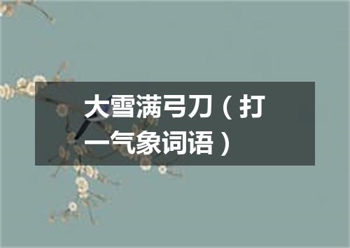 大雪满弓刀（打一气象词语）
