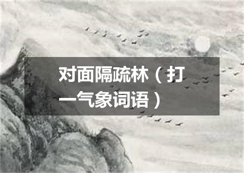 对面隔疏林（打一气象词语）