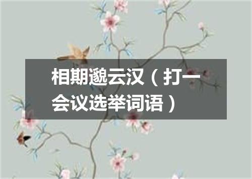 相期邈云汉（打一会议选举词语）