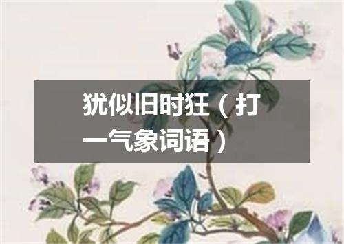 犹似旧时狂（打一气象词语）
