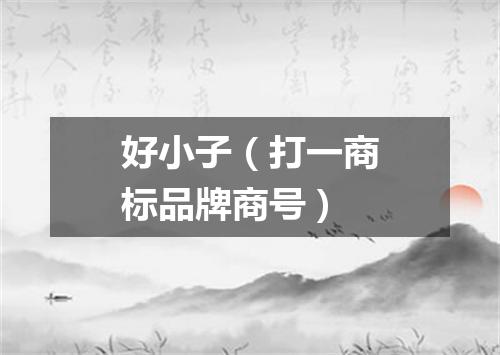 好小子（打一商标品牌商号）