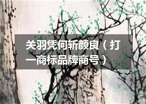 关羽凭何斩颜良（打一商标品牌商号）