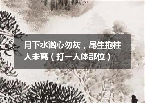 月下水汹心勿灰，尾生抱柱人未离（打一人体部位）