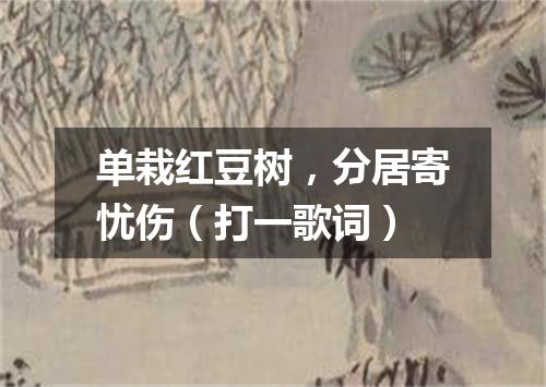 单栽红豆树，分居寄忧伤（打一歌词）