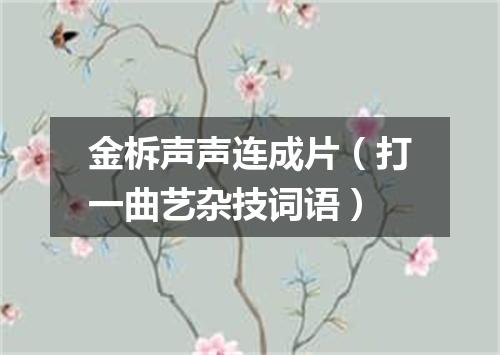 金柝声声连成片（打一曲艺杂技词语）