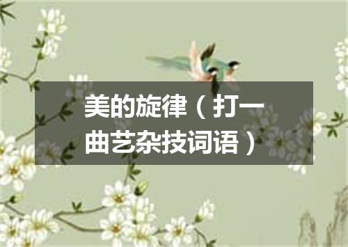 美的旋律（打一曲艺杂技词语）