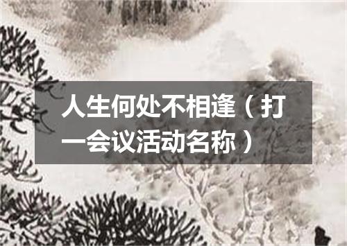 人生何处不相逢（打一会议活动名称）