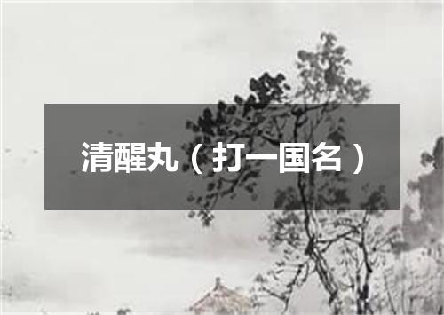 清醒丸（打一国名）