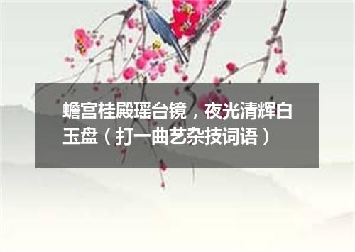 蟾宫桂殿瑶台镜，夜光清辉白玉盘（打一曲艺杂技词语）
