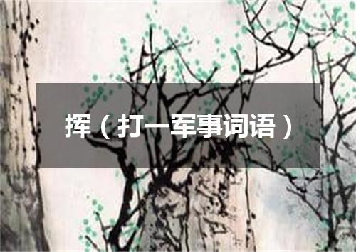 挥（打一军事词语）