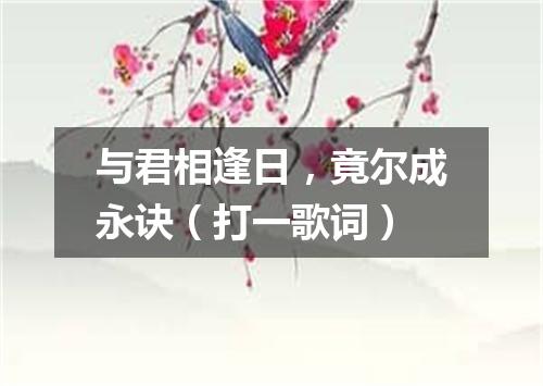 与君相逢日，竟尔成永诀（打一歌词）