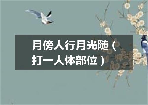 月傍人行月光随（打一人体部位）