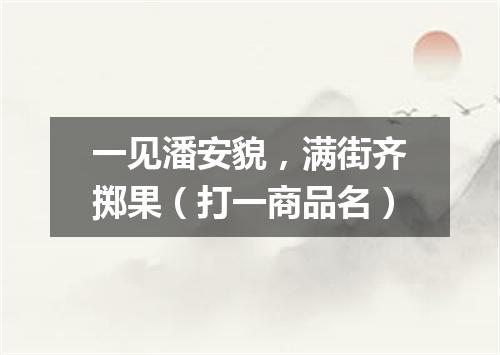 一见潘安貌，满街齐掷果（打一商品名）
