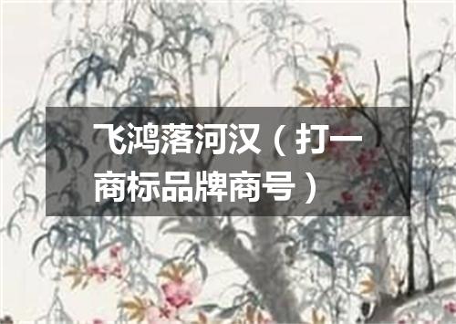 飞鸿落河汉（打一商标品牌商号）