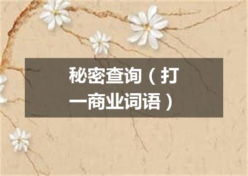 秘密查询（打一商业词语）