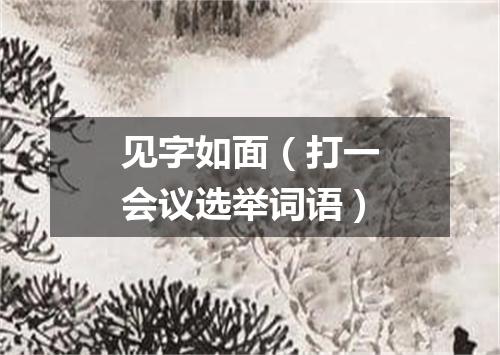 见字如面（打一会议选举词语）