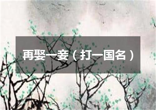 再娶一妾（打一国名）