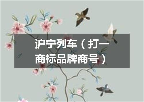 沪宁列车（打一商标品牌商号）