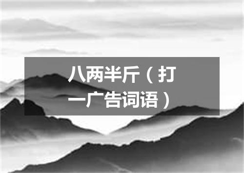 八两半斤（打一广告词语）