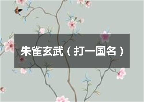朱雀玄武（打一国名）
