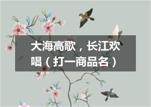 大海高歌，长江欢唱（打一商品名）