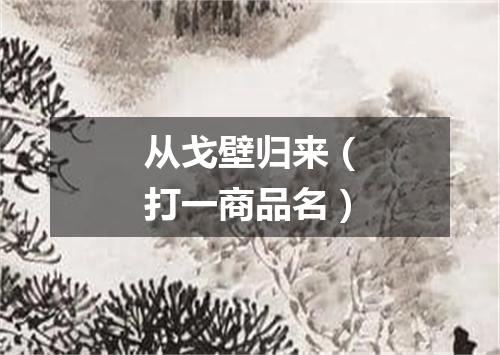 从戈壁归来（打一商品名）