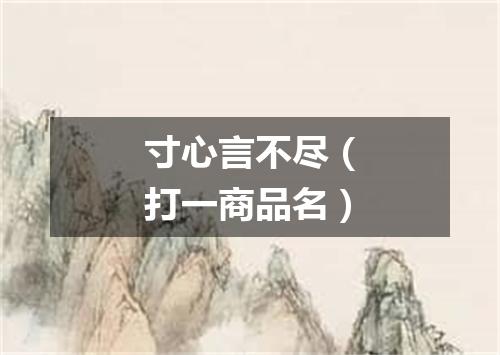 寸心言不尽（打一商品名）