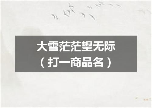 大雪茫茫望无际（打一商品名）