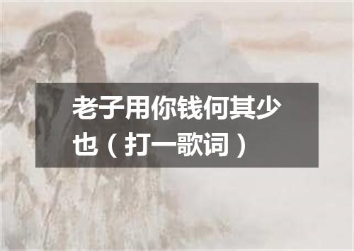 老子用你钱何其少也（打一歌词）