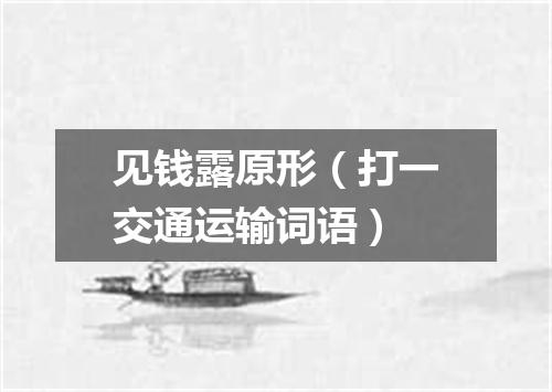 见钱露原形（打一交通运输词语）