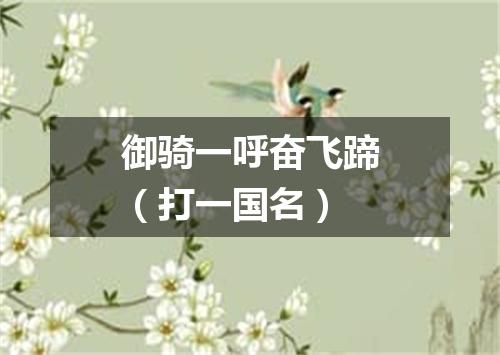 御骑一呼奋飞蹄（打一国名）