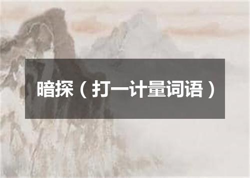 暗探（打一计量词语）