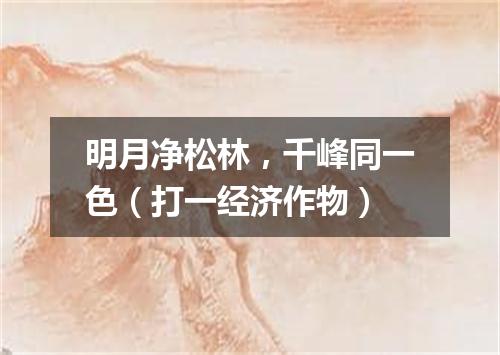 明月净松林，千峰同一色（打一经济作物）