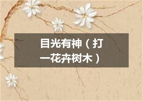 目光有神（打一花卉树木）
