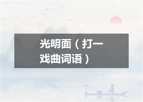 光明面（打一戏曲词语）