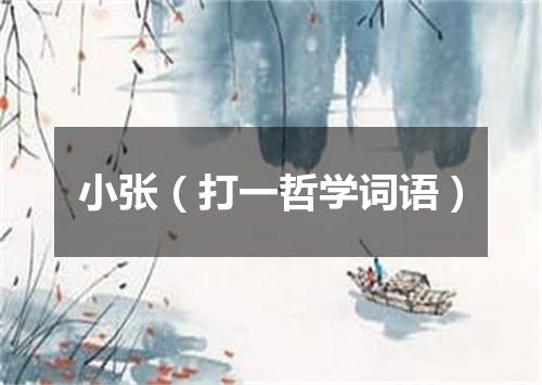 小张（打一哲学词语）