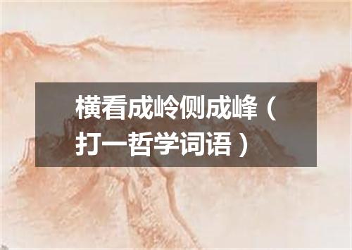 横看成岭侧成峰（打一哲学词语）