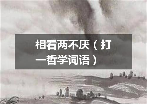 相看两不厌（打一哲学词语）