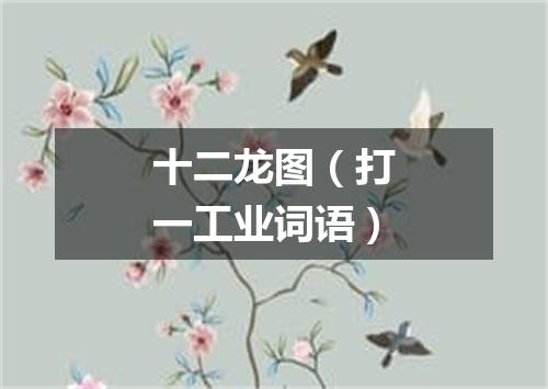 十二龙图（打一工业词语）