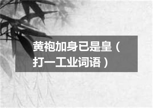 黄袍加身已是皇（打一工业词语）