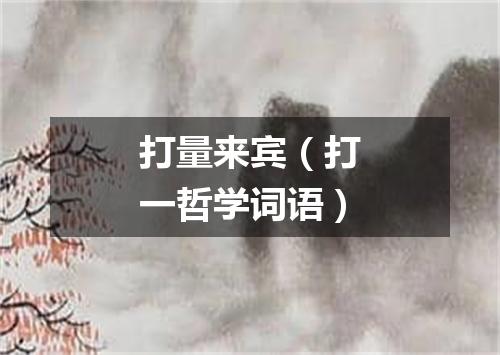 打量来宾（打一哲学词语）
