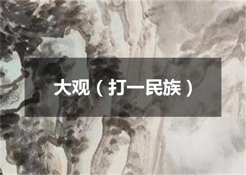 大观（打一民族）