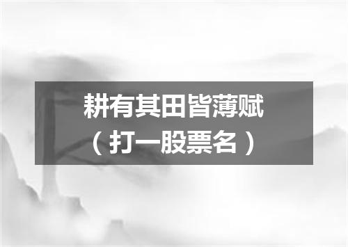 耕有其田皆薄赋（打一股票名）