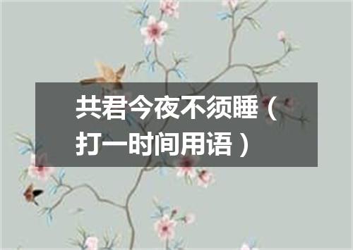共君今夜不须睡（打一时间用语）