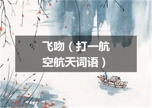 飞吻（打一航空航天词语）