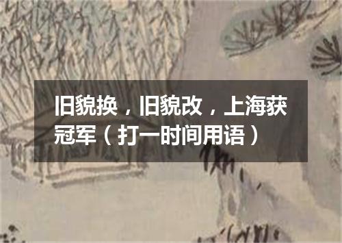旧貌换，旧貌改，上海获冠军（打一时间用语）