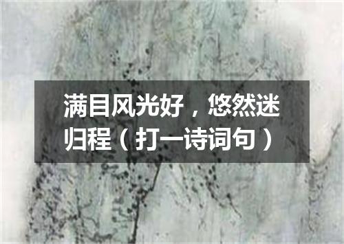 满目风光好，悠然迷归程（打一诗词句）